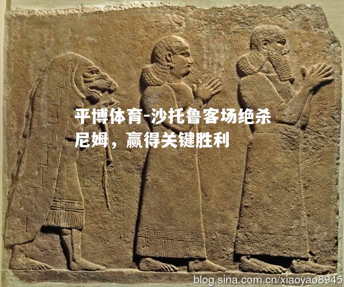 平博体育-沙托鲁客场绝杀尼姆，赢得关键胜利