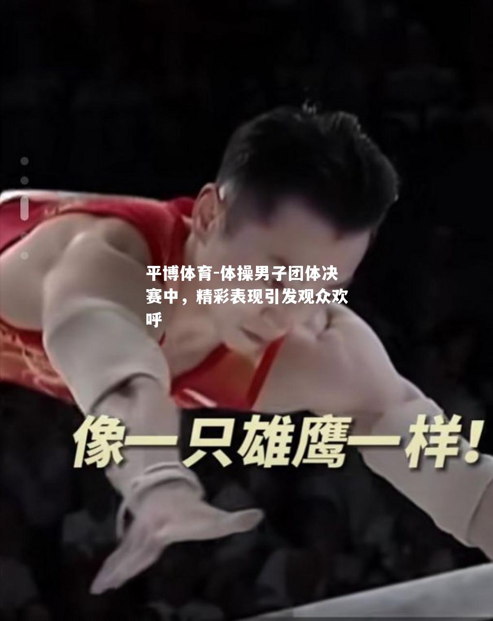 体操男子团体决赛中，精彩表现引发观众欢呼